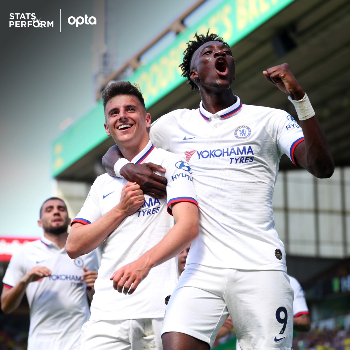 衡的能力 衡的能力